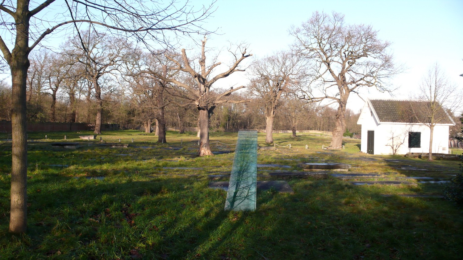general view